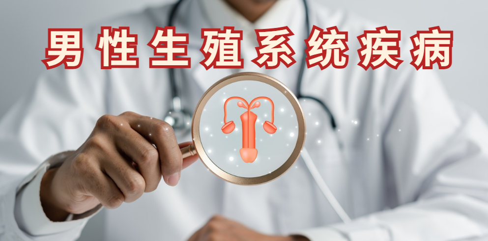 男性生殖系统疾病