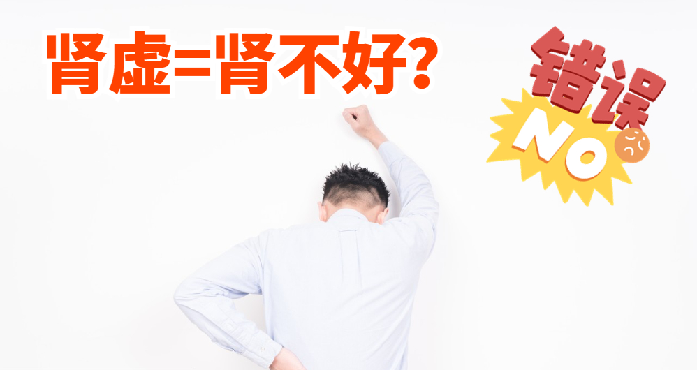 肾虚等于肾不好