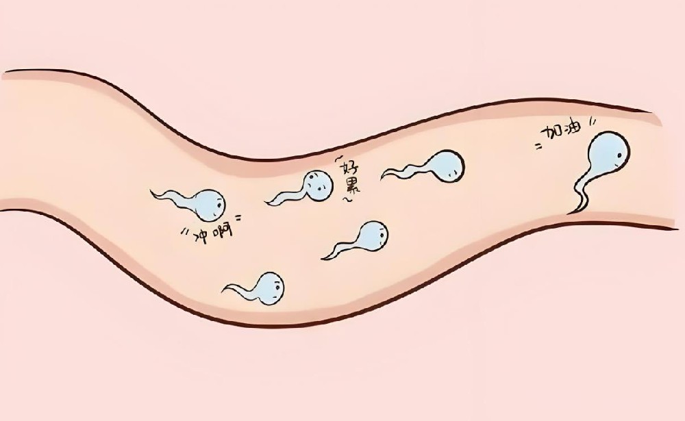 遗精频繁如何改善？