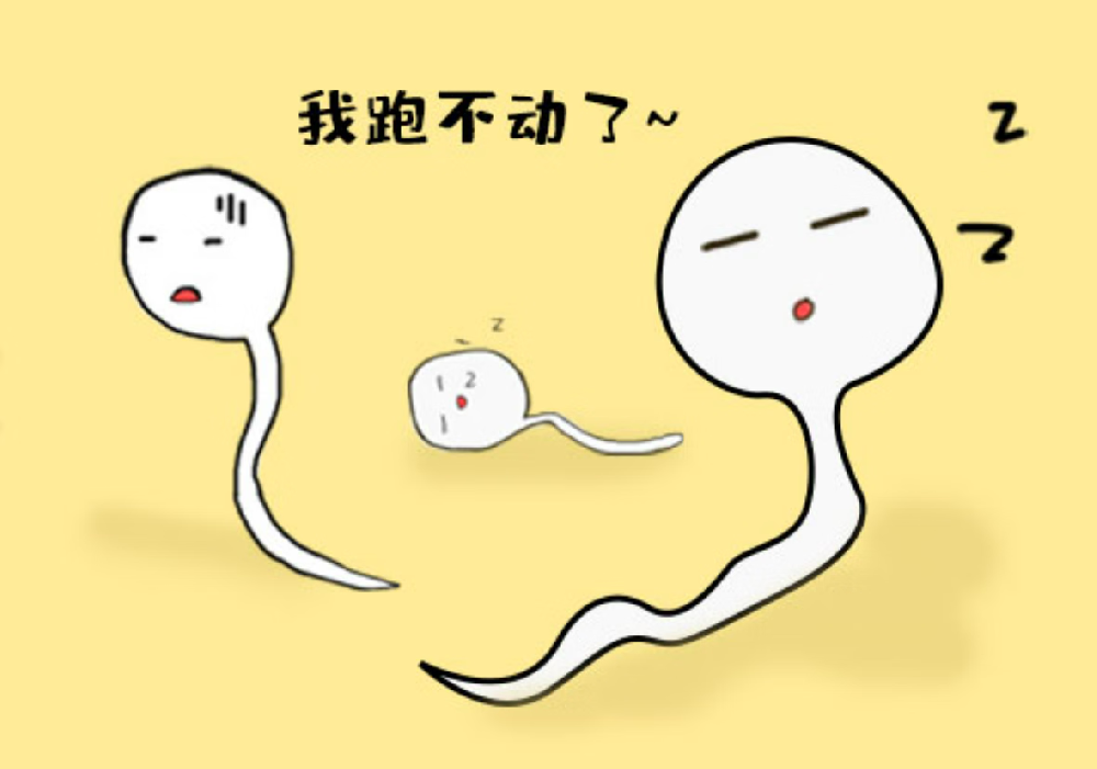 男性少精弱精