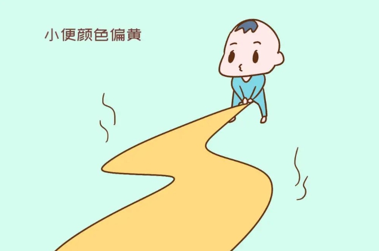 男性小便发黄