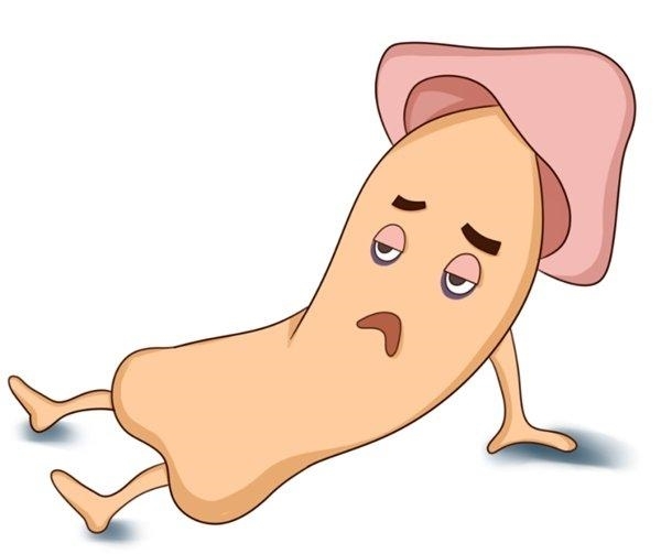 举而不坚时间短