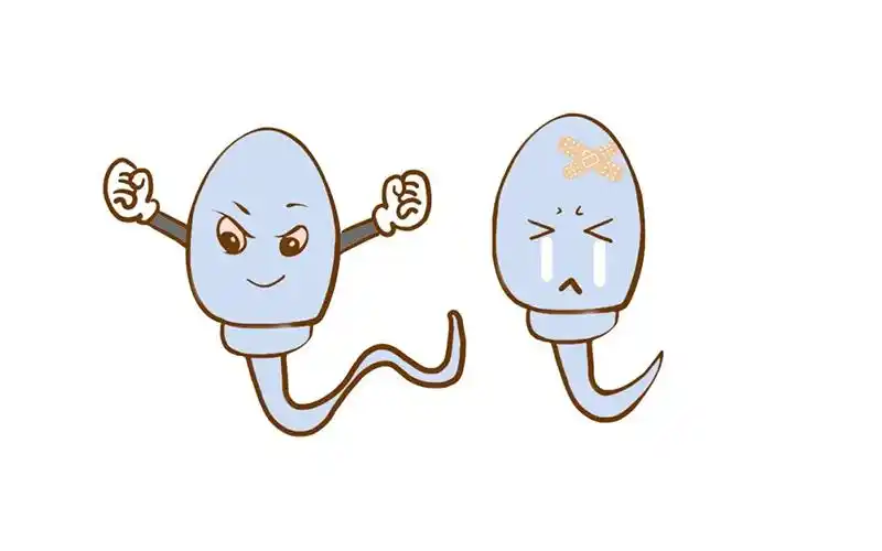 精子活力低如何改善？
