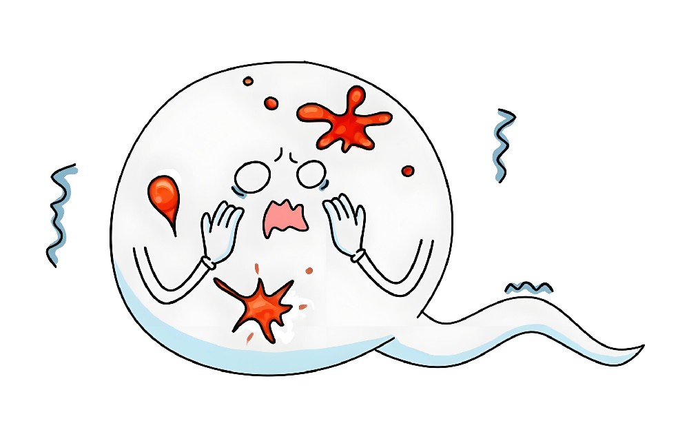 大便时尿道口有乳白色液体流出?警惕大便滴白信号