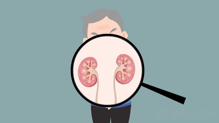 中成药补肾如何选？