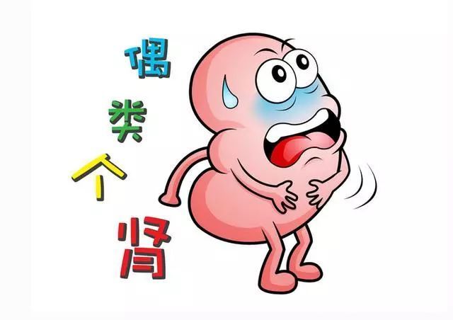 肾虚患者能喝咖啡吗？