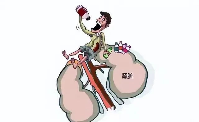 肾虚患者能喝啤酒吗？